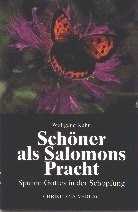 Schöner a. Salomons Pracht