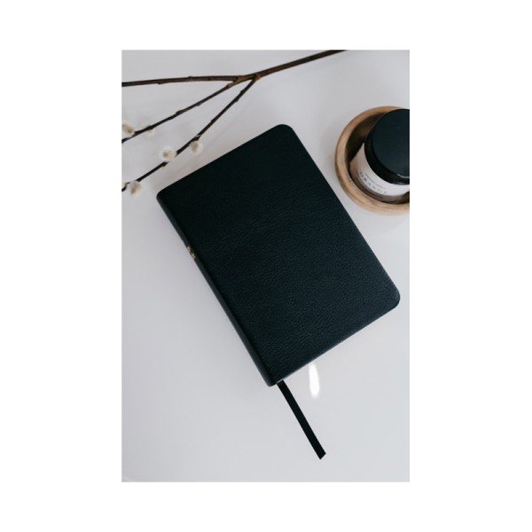 Taschenbilbel kompleltes Neues Testament + Psalmen