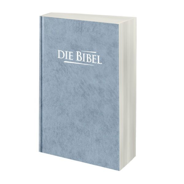 Taschenbibel sehr GÜNSTIG NT + Psalmen