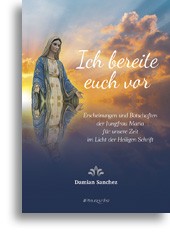 Ich bereite euch vor Erscheinungen und Botschaften der Jungfrau Maria für unsere Zeit