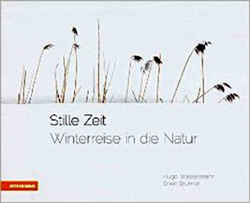 Stille Zeit